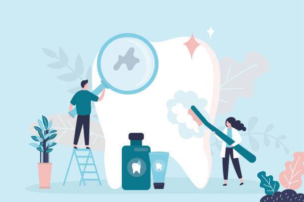 Best Preventive Dentistry  in Orange Park, FL